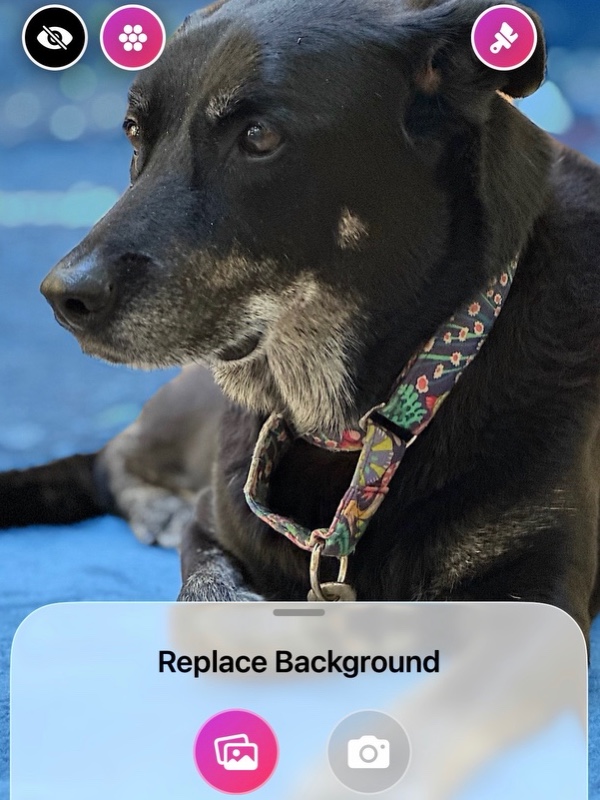 AI powered Background Removal